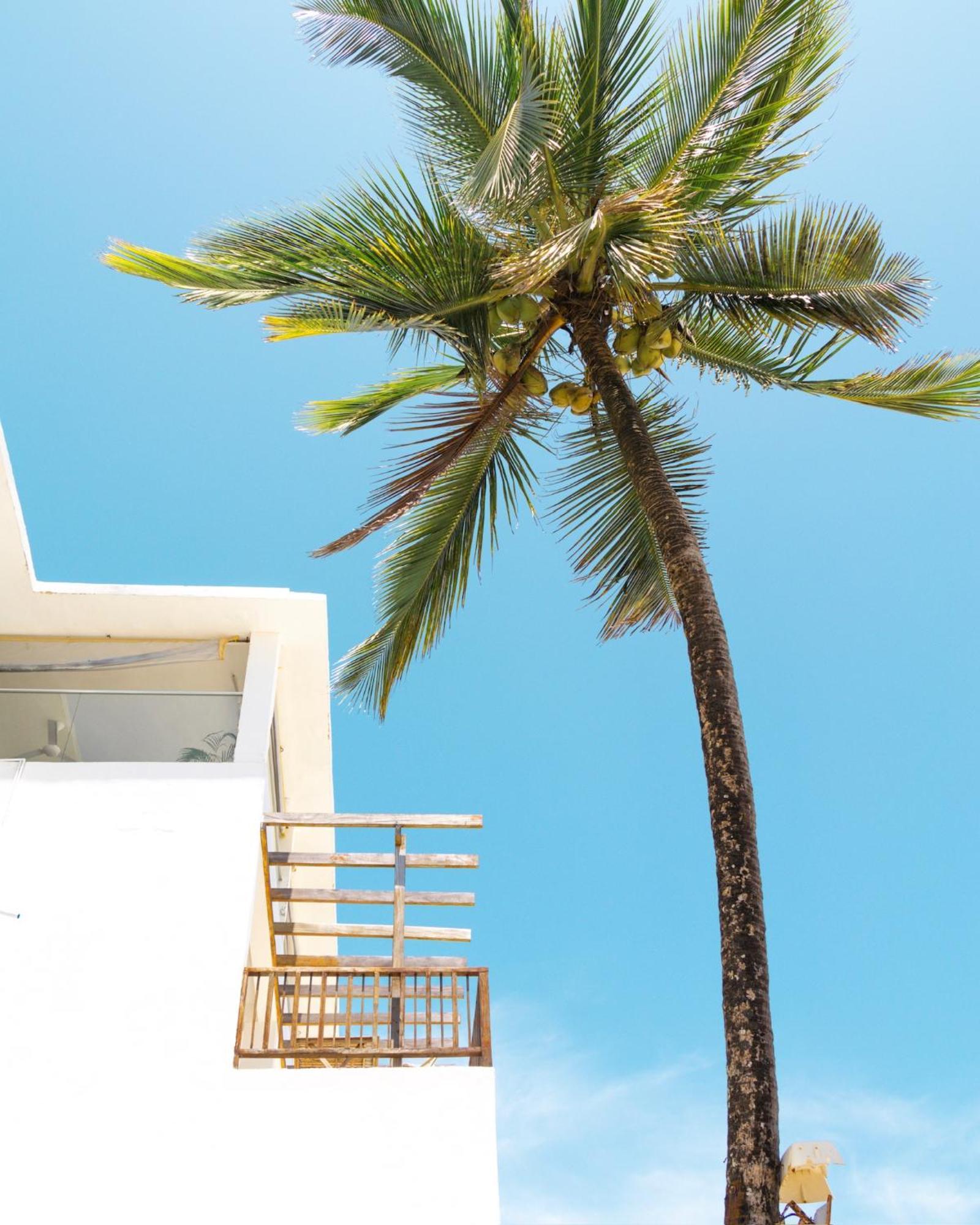 Pili Pili Sunrise Beach Hotel Jambiani  Kültér fotó